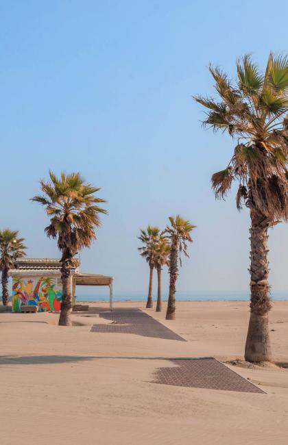 Spiaggia deserta con palme e cielo azzurro.