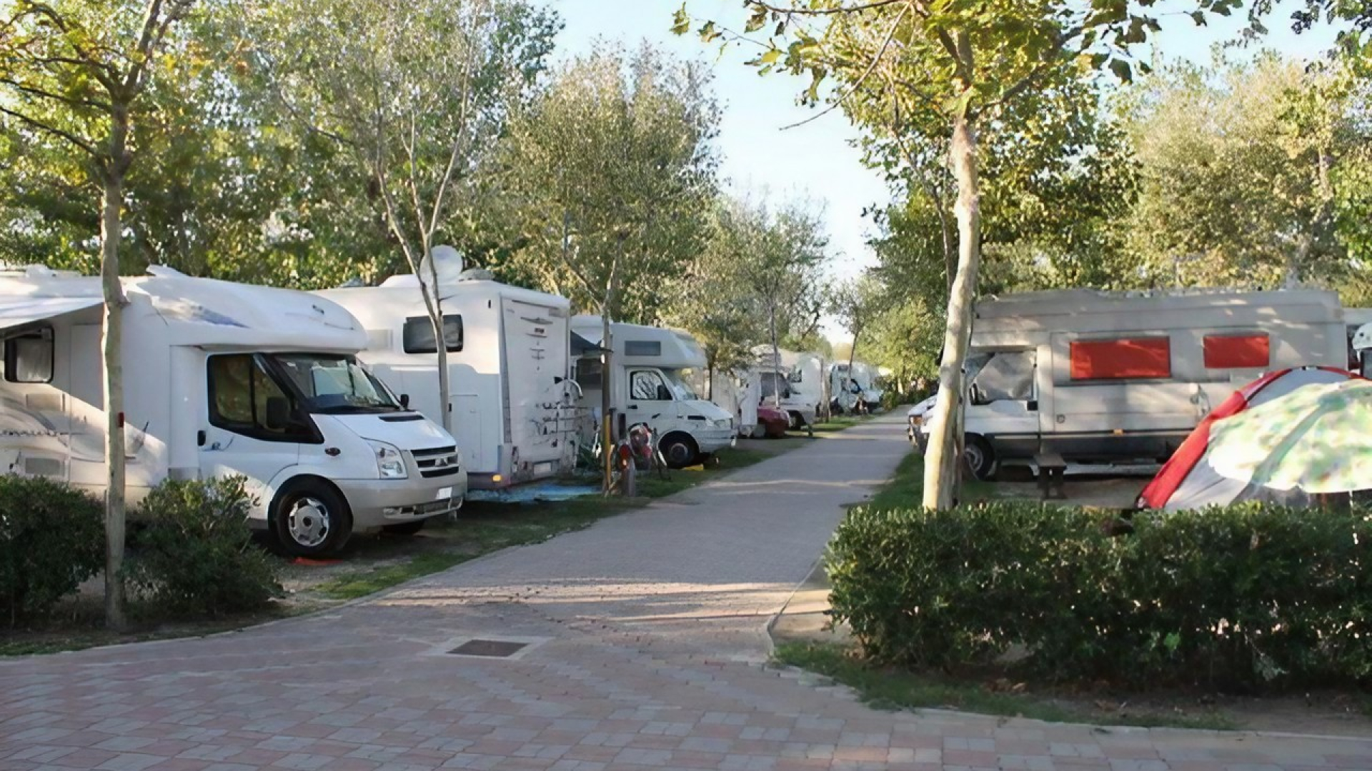 Wohnmobile in der Natur, Sonnenlicht und Ruhe auf einem friedlichen Campingplatz.