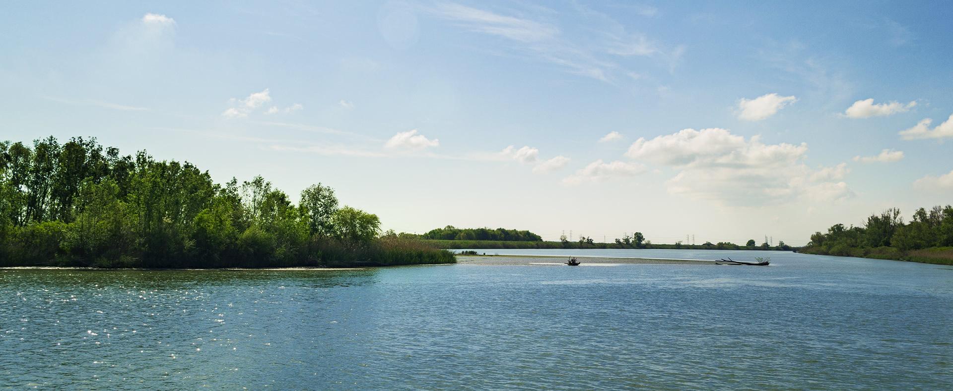 Tranquillo fiume circondato da alberi verdi sotto un cielo azzurro.