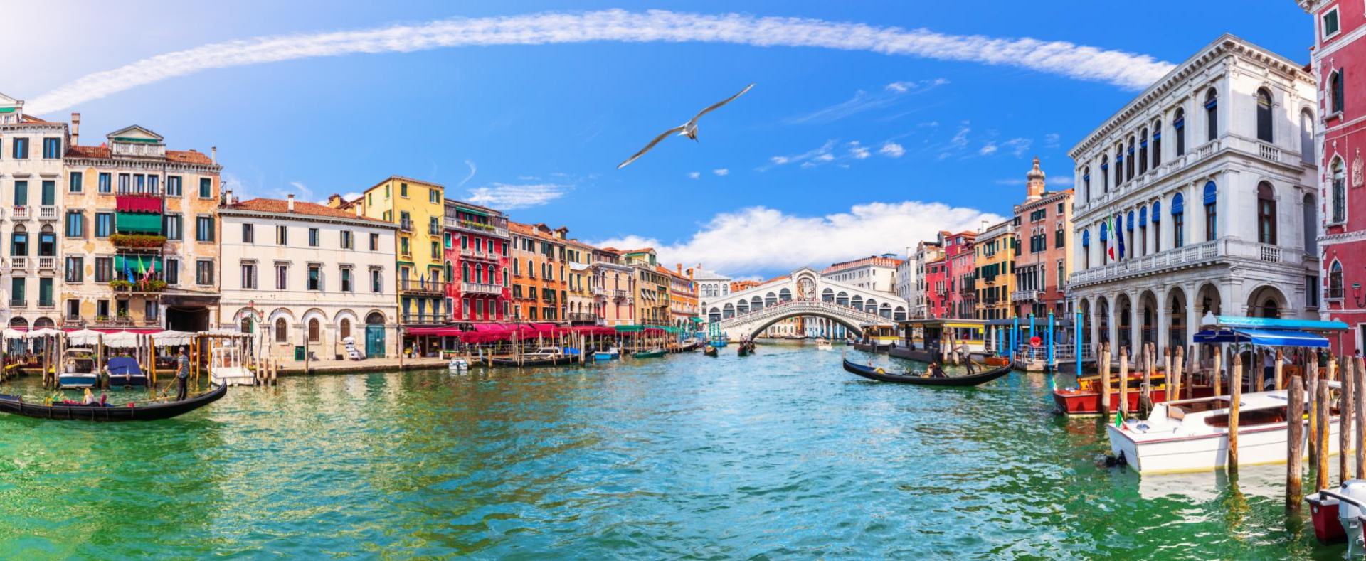 Veduta del Canal Grande a Venezia con il Ponte di Rialto e gondole.